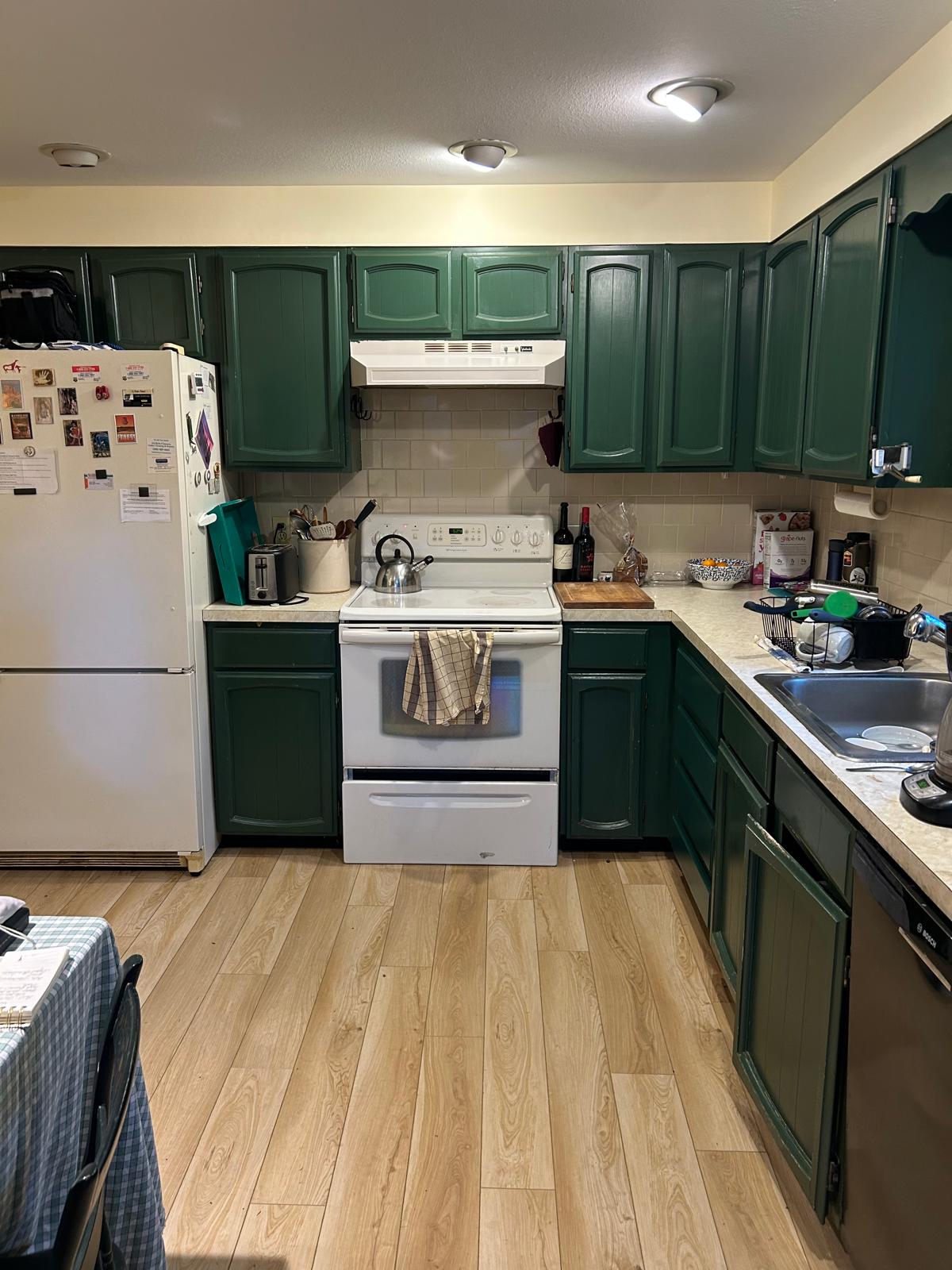 Kitchen cabinet refresh before
